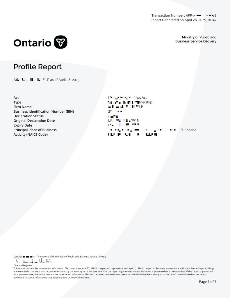 插图Profile Report_EN_01 791x1024.jpg