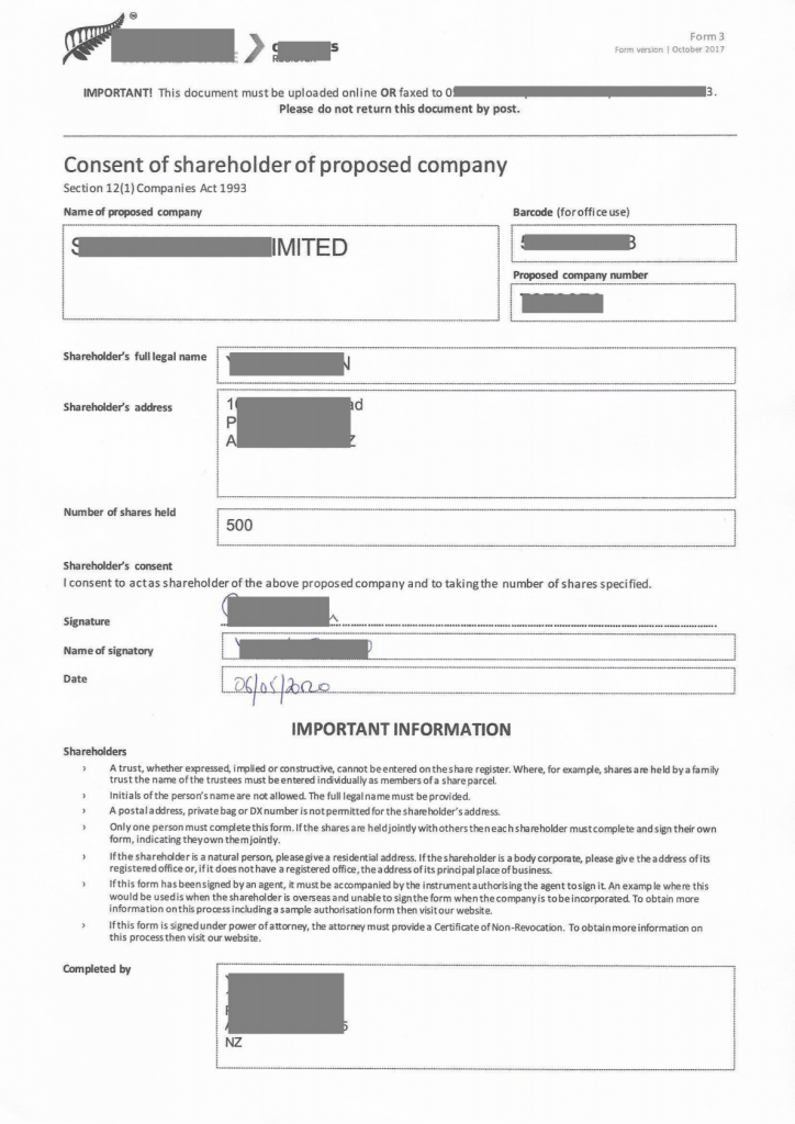 插图Shareholder Consent Form_01 724x1024.png